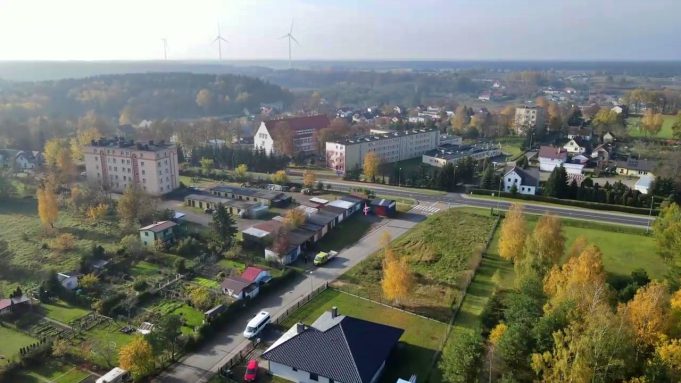Międzynarodowi partnerzy Białego Boru