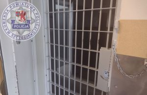 Od kontroli drogowej do aresztu