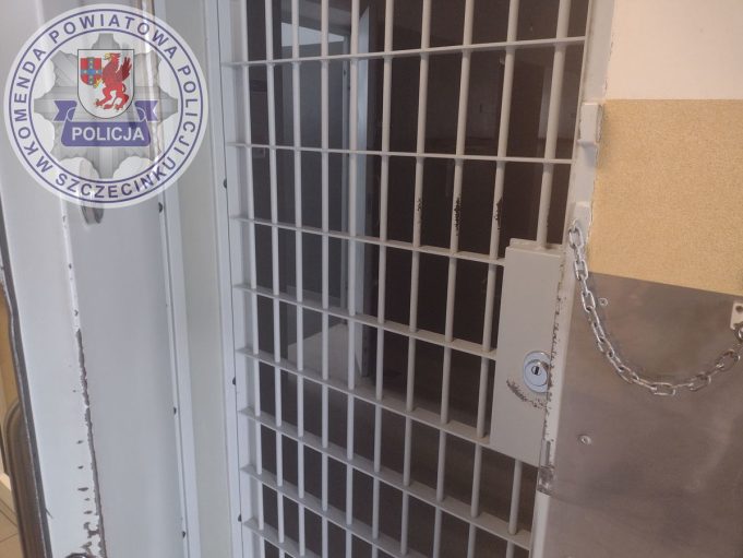 Od kontroli drogowej do aresztu