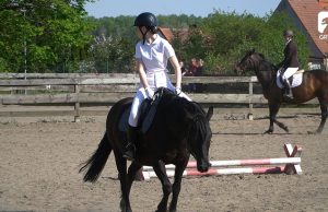 Jedno serce, jedno bicie – kocham konie ponad życie