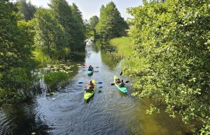 Projekt „Nie siedź w domu! Weź się rusz!” zrealizowany