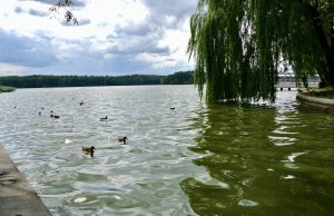 Zakaz kąpieli na plaży miejskiej