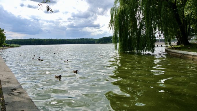 Zakaz kąpieli na plaży miejskiej