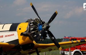 Piknik Lotniczy w Wilczych Laskach