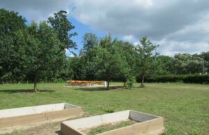 W SOSW powstaje Szkolny EkoOgród