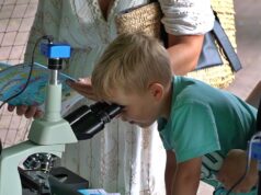 Fiesta Rybna wróciła do Szczecinka