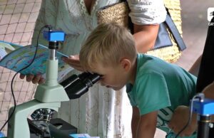 Fiesta Rybna wróciła do Szczecinka