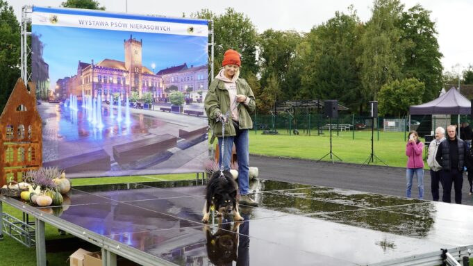 Wystawa Psów Nierasowych w Szczecinku