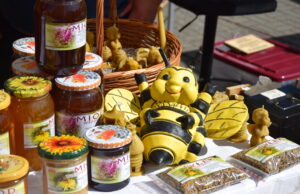 Targi Chleba i Miodu w Bornem Sulinowie