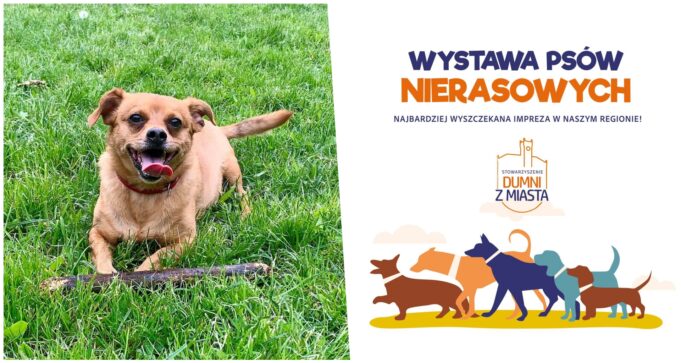 Przed nami pierwsza Wystawa Psów Nierasowych