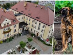 Powiat zachęca do poparcia nowelizacji ustawy o ochronie zwierząt