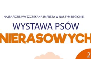 Wystawa Psów Nierasowych w Szczecinku – zaproszenie