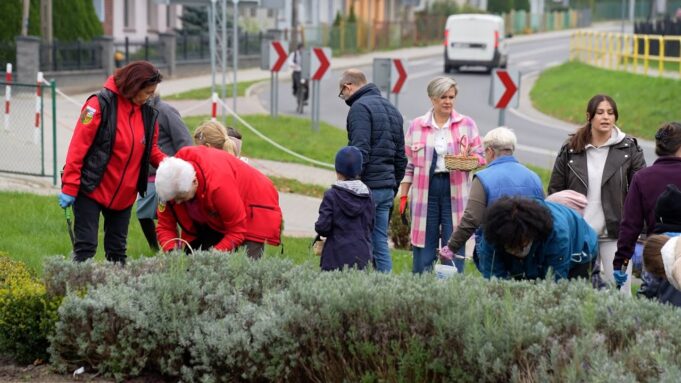 Radomyślańska rewolucja kwiatowa – finał projektu