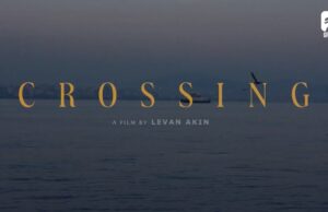 Crossing – propozycja DKF na 13.11.2024