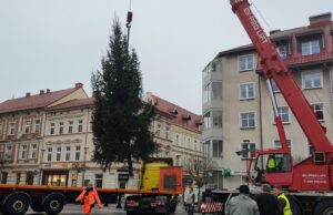 Świąteczna choinka stanęła na placu Wolności