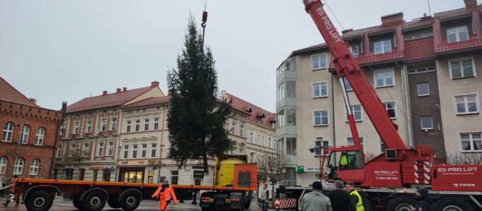 Świąteczna choinka stanęła na placu Wolności