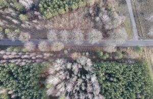 Modernizacja drogi Borne Sulinowo – Nadarzyce