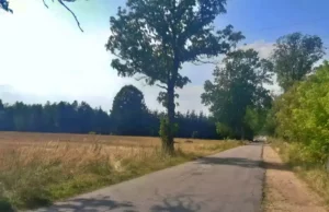 Powiat walczy o środki na remont drogi Spore-Trzcinno