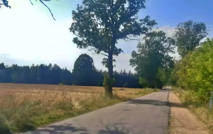 Powiat walczy o środki na remont drogi Spore-Trzcinno