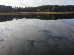 Nowe pomosty w Grąbczynie i Sporem