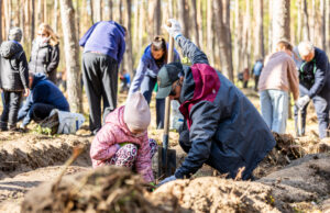Posadzili 50 tys. nowych drzew