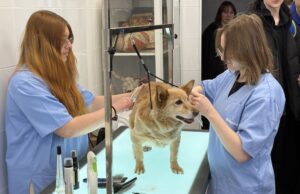 Rolniczak zapraszał w swoje progi