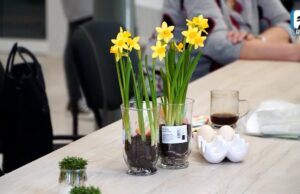 Warsztaty Wielkanoce dla Seniorów – zaproszenie