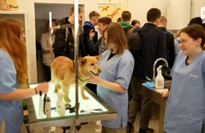 Dzień otwarty w Zespole Szkół nr 6 w Szczecinku