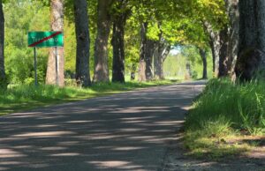 Droga Spore-Trzcinno do remontu