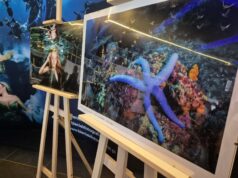 Podwodny świat w Kinie Wolność. Przyjdź i „Zanurz się w sztuce”!