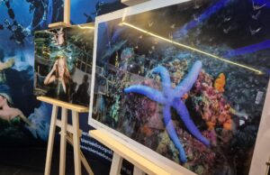 Podwodny świat w Kinie Wolność. Przyjdź i „Zanurz się w sztuce”!