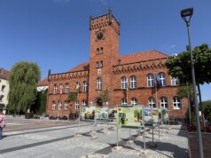 Las w obiektywie i w pikselach – nowa wystawa przed ratuszem