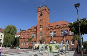 Las w obiektywie i w pikselach – nowa wystawa przed ratuszem