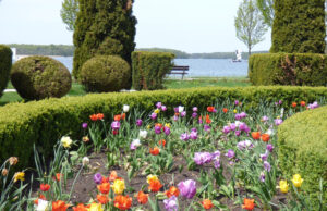 W miejskim parku będzie można piknikować