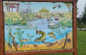 Plenerowa wystawa w Strefie Aktywnego Wypoczynku