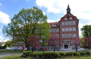 Drzewo z historią i sekretem