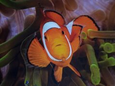 Wystawa fotografii Bartosza Bieńka – zaproszenie