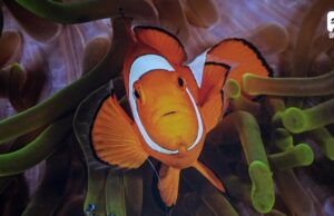 Wystawa fotografii Bartosza Bieńka – zaproszenie