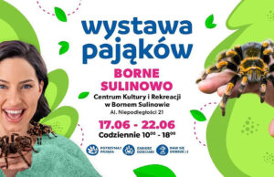 Zobacz żywe pająki i skorpiony w Bornem Sulinowie