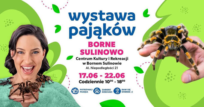Zobacz żywe pająki i skorpiony w Bornem Sulinowie