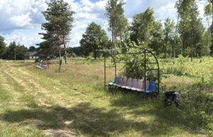 Boisko w Krosinie przejdzie metamorfozę