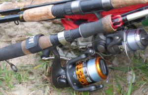 Gruntowy Puchar Prezesa, czyli łowy na Trzesiecku