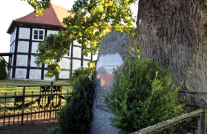 Kurt Hummel – patron szczecineckiego Festiwalu Balonowego