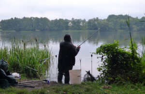 Nocne łowy na Trzesiecku