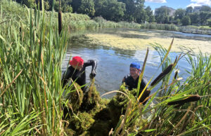 Staw w strefie rekreacji poddany rekultywacji