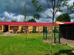 Oddaj elektroodpady i pomóż podopiecznym szczecineckiego schroniska