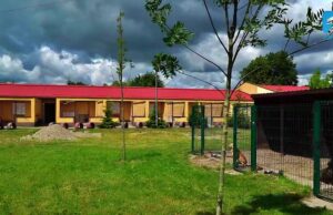 Oddaj elektroodpady i pomóż podopiecznym szczecineckiego schroniska