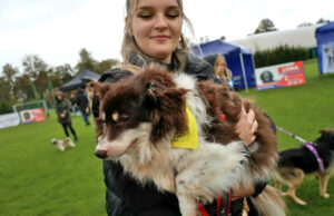 Zapisz psiaka na wystawę. Nagroda dla najsympatyczniejszego