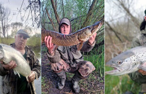 Zbliża się koniec sezonu na Parsęcie