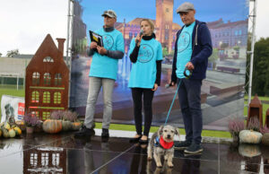 Wystawa psich piękności ponownie. Można już zgłaszać swoje czworonogi